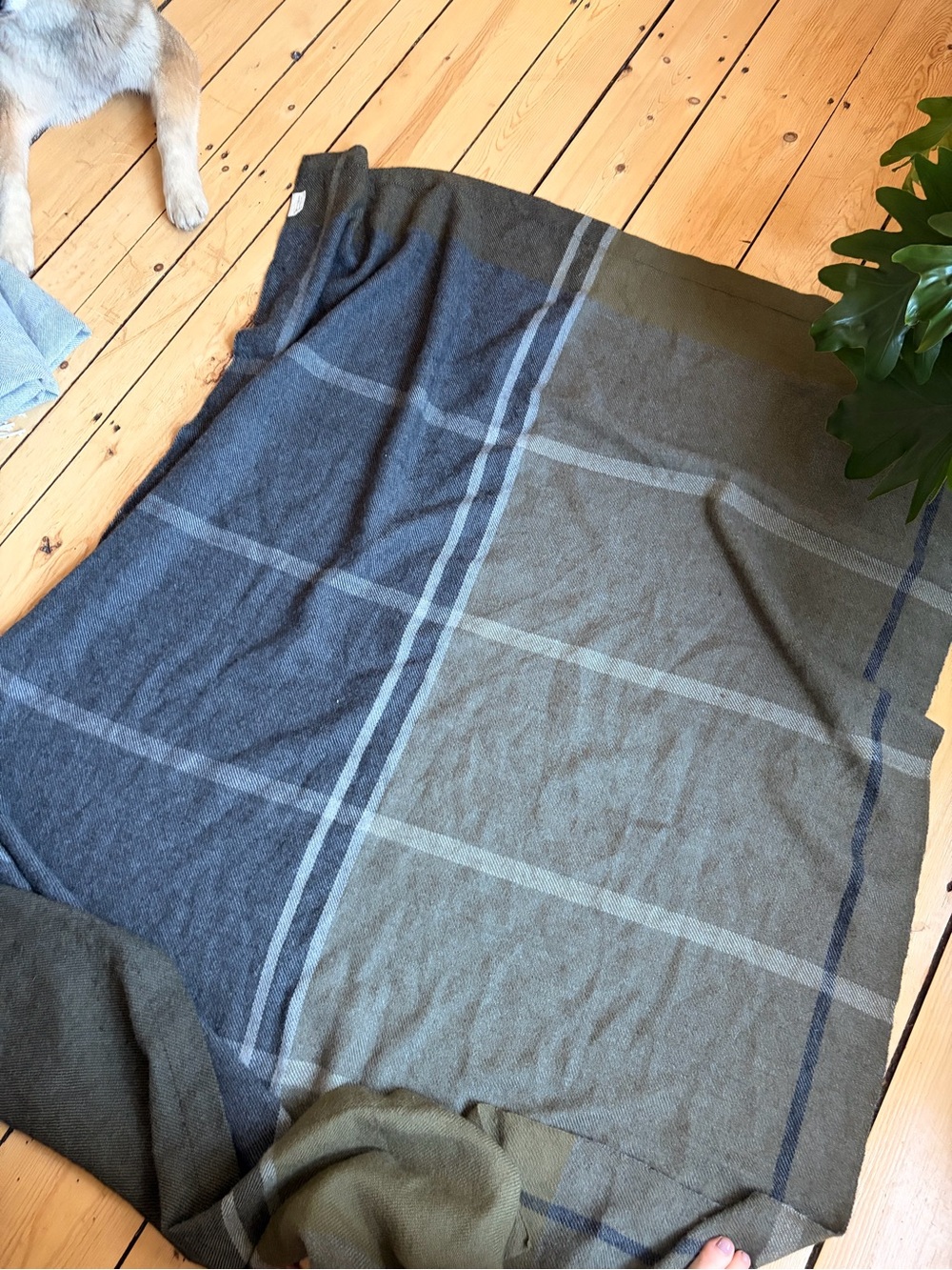 The Citizenry Olive & Charcoal Plaid Throw